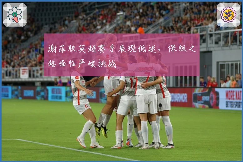 谢菲联英超赛季表现低迷，保级之路面临严峻挑战